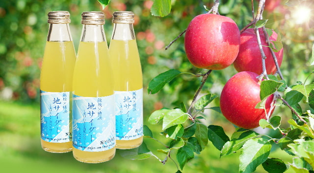 横浜市立南瀬谷中学校 飯坂・横浜りんごサイダー